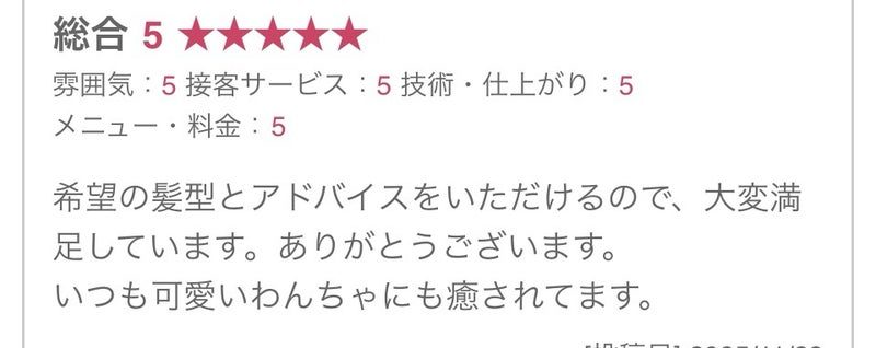 第5話 Googleの森と大きな口コミの木 つるるんとんの葉っぱ 挿絵09