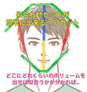 似合わせセットが簡単にできるヘアカットの図解。どこにどれくらいのボリュームを出せば似合うかを示したイラスト